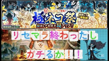 黒フォノで暴れよう【にゃんこ大戦争】#にゃんこ大戦争#shorts