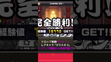 降臨(亜種)を除くで一番難かったかも　　　#にゃんこ大戦争 #にゃんこ大戦争ネタ #にゃんこ大戦争攻略 #にゃんこ大戦争初心者
