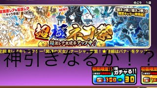 [にゃんこ大戦争実況]ガチャで神引きなるか！？　　　　　　　　爆死したらドッカンバトル実況始めます、