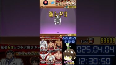 #Battlecats ❗#範馬刃牙コラボガチャ コンプするまで引くｯｯ❗22連目 【にゃんバロ～😼👍 】 #縦型配信 #雑談【#にゃんこ大戦争  】#刃牙🐈#バキ