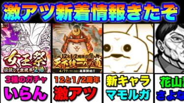 激アツの新着情報まとめ「女王祭ガチャ、周年、マモルガ等々」　#にゃんこ大戦争