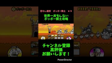 世界一おもんないポッポー領土攻略#にゃんこ #初心者 #にゃんこ大戦争