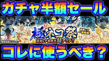 極ネコ祭ガチャきたけど、半額セールは使うべきなの？　#にゃんこ大戦争