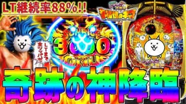 【Pにゃんこ大戦争～多様性のネコ～】LT突入まで全ツッパ！オールスター群で悶絶しました！