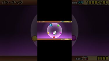 サイキックねこ進化