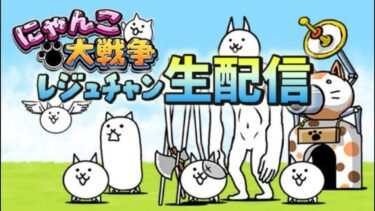 夜のにゃんこ配信