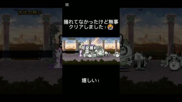 やったーーー！ #にゃんこ大戦争