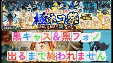 黒キャス＆黒フォノ出るまでリセマラ配信【にゃんこ大戦争】#にゃんこ大戦争#リセマラ#周年