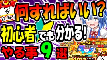 【にゃんこ大戦争】初心者必見! １２と２分の１周年 天下統一への道 から 始めた人向けに 分かりやすく 序盤の進め方 や 今来てる 極ネコ祭 引くべきか  徹底解説【ゆっくり解説】