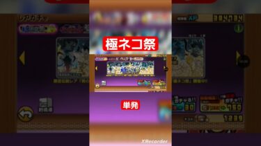 極ネコ祭単発！#にゃんこ大戦争ガチャ #にゃんこ大戦争 #にゃんこ
