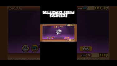 【にゃんこ大戦争】￤レアチケ12枚＆10連ぶっ込んでみた結果…￤#にゃんこ大戦争 #にゃんこ大戦争初心者 #game #shorts