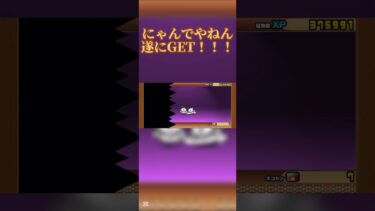 【にゃんこ大戦争】にゃんでやねん遂にGET！！！ #music #にゃんこ大戦争 #ショート法 #ゲーム実況 #にゃんこ大戦争初心者