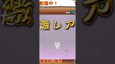 【にゃんこ大戦争】＃４１０　超極ネコ祭神引き集！猫缶編①！YouTube&TikTok同時配信してるよー【ソシャゲ配信】＃shorts