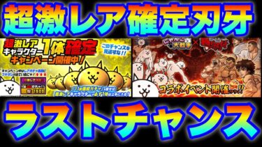 超激レア確定のラストチャンス！引くべきかを解説　#にゃんこ大戦争　#範馬刃牙コラボ