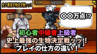 にゃんこ大戦争　初心者　中級者　上級者　史上最強生物決定戦ｯｯ‼︎プレイの仕方の違いｯｯ‼︎