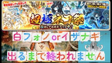 白フォノorイザナギ出るまでリセマラ配信【にゃんこ大戦争】#にゃんこ大戦争#リセマラ#周年#超極ネコ祭#ガチャ