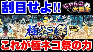 これが極ネコ祭の力だ！　#にゃんこ大戦争