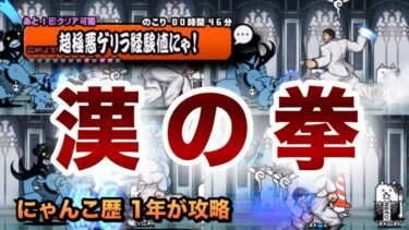 【超極悪ゲリラ経験値】レベル30の花山を使ってどこまでいけるのか!?にゃんこ歴1年が攻略してみた［にゃんこ大戦争］
