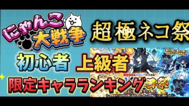 【にゃんこ大戦争】超極ネコ祭ランキング【初心者】【上級者】