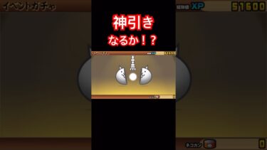 【にゃんこ大戦争】ガチャで神引きなるか！？#にゃんこ大戦争#ラキGame#配信#視聴者#参加型#VIP#shors#ガチャ#10連#伝説レア #undead