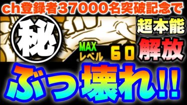 まさにぶっ壊れ！あの悪魔的強さを持ったキャラの超本能を大解放！　#にゃんこ大戦争　#チャンネル登録者数37000名突破記念