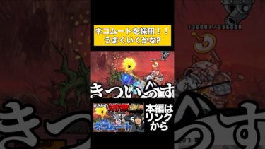 にゃんこ民大戦争新レジェンド裏ボス『ノーヴァ』強すぎる！！ムート使ってもむずいわ！！勝てないわ！！ #youtubeはじめました #にゃんこ大戦争 #ゲーム実況 #ネコムート