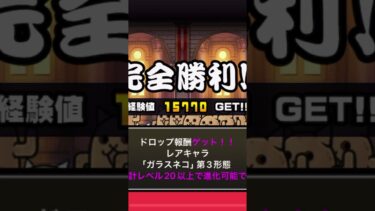 第三形態ゲット！#にゃんこ大戦争 #にゃんこ大戦争 #にゃんこ大戦争攻略 #にゃんこ大戦争初心者