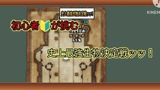 【にゃんこ大戦争】初心者🔰が挑む　史上最強生物決定戦ッッ！