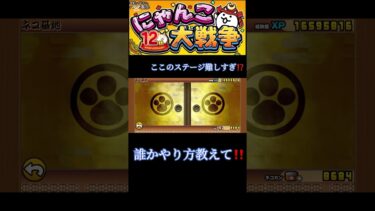 誰か助けて‼️#攻略 #にゃんこ大戦争 #にゃんこ大戦争攻略 #にゃんこ大戦争初心者
