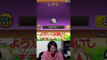 にゃんこ大戦争でにゃんまを神引き！#にゃんこ大戦争 #猫#ゲーム実況 #ゲーム