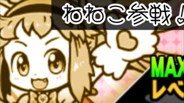 ねねこが当たった動画【にゃんこ大戦争】