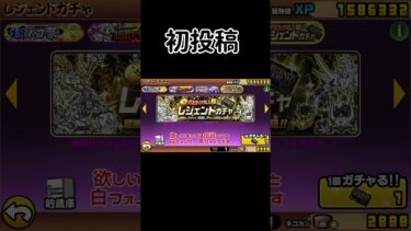 もうこいつ3体目です#にゃんこ大戦争 #初投稿 #編集初心者 #shorts
