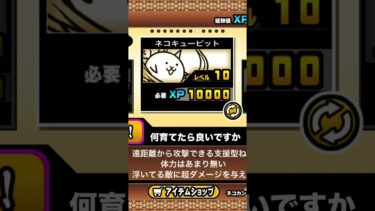 #にゃんこ大戦争 #レアキャラ#初心者です　何育てたら良いですかコメント欄に書いてください。