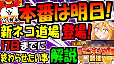 【にゃんこ大戦争】12と2分の1周年直前! 新 本能玉が手に入る 極ランキングの間 開催! 初心者向けに プラチケ 交換可能の プラチケのかけら 獲得できる 月間強襲ステージ等 解説【ゆっくり解説】