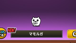 【にゃんこ大戦争】ちょっとテストです