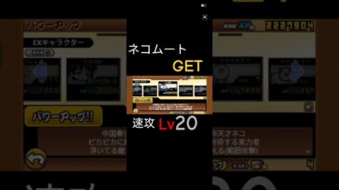 ネコムートGET！！#にゃんこ大戦争 #にゃんこ大戦争初心者 #shorts