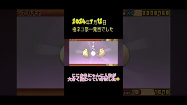 #ガチャ神引き #にゃんこ大戦争 #ゲーム実況 #ガチャ動画 #ゲーム