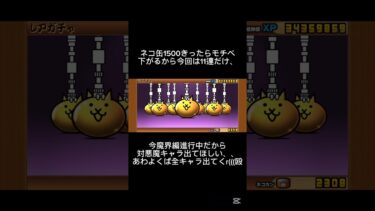 刃牙コラボガチャ引く！！#初心者#にゃんこ大戦争#ガチャ
