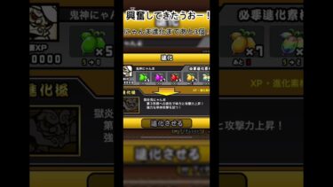金曜日まだかな… #にゃんこ大戦争初心者 #おすすめにのりたい #にゃんこ大戦争 #ゲーム実況 #おすすめにのりたい #おすすめにのりたい