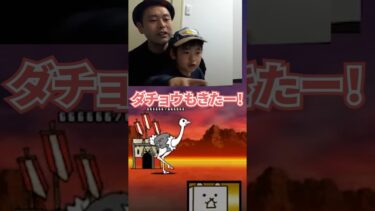 地獄門（修羅の道）に挑戦‼【にゃんこ大戦争】#攻略 #般若我王
