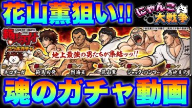 花山薫狙いで魂込めてガチャ引きます！　#にゃんこ大戦争　#範馬刃牙コラボ