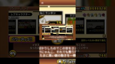 バケーション進化#にゃんこ大戦争 #にゃんこ大戦争初心者