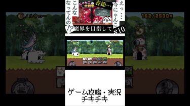 10【にゃんこ大戦争】中華な猫がほしい…実況