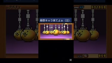 極ネコ祭やっぱり黒キャス狙い一択でしょ‼️　　#ゲーム #にゃんこ大戦争 #にゃんこ大戦争攻略 #にゃんこ大戦争初心者 #ガチャ動画 #shortvideo #shorts #short