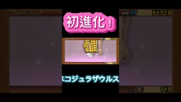 初進化！#にゃんこ大戦争 #にゃんこ大戦争初心者 #ゲーム #にゃんこ大戦争レアキャラクター第3形態おすすめ #にゃんこ大戦争最強キャラクター #shortsあ
