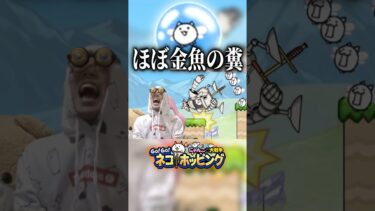 この子無しでは生きていけない#にゃんこ大戦争 #ゲーム実況 #発狂 #リアクション #攻略 #解説 #gaming #猫 #さぁーこいチャンネル #shorts