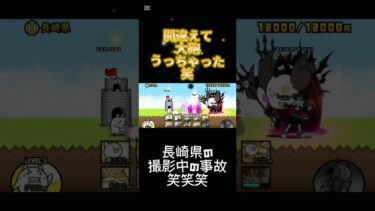 長崎県勝てませんって言う動画とろうとしたらミスった笑笑笑♯ショート♯♯にゃんこ♯♯そうる♯