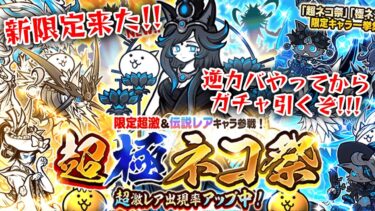 超極ネコ祭きた！！！逆カバ周回してから引くぞ！！！！【にゃんこ大戦争】