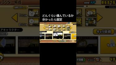 初心者です#にゃんこ大戦争