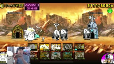 #27【にゃんち大戦争】【配信】【5/11】イディを求めて三千里‼️旧レジェ冠2.3.4進めたい！！UR〜